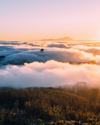pexels-marcin-jozwiak-2621335 pexels-marcin-jozwiak-2621335